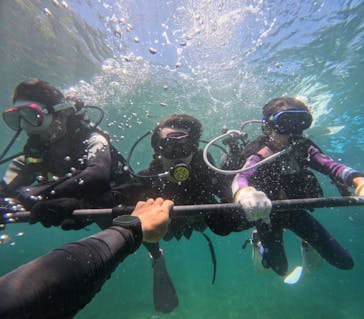 沖縄マリンサービス碧に投稿された画像（2024/8/1）