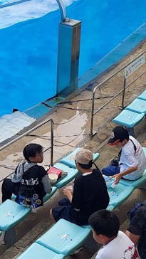 名古屋港水族館に投稿された画像（2024/8/1）