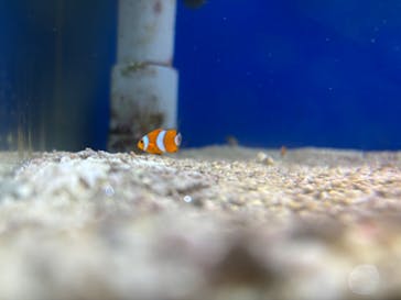 名古屋港水族館に投稿された画像（2024/8/1）