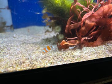 名古屋港水族館に投稿された画像（2024/8/1）