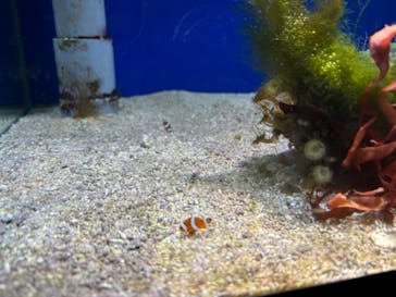 名古屋港水族館に投稿された画像（2024/8/1）