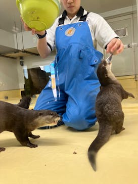 越前松島水族館に投稿された画像（2024/8/1）