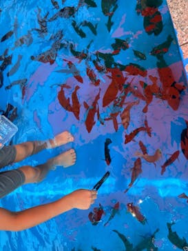 越前松島水族館に投稿された画像（2024/8/1）