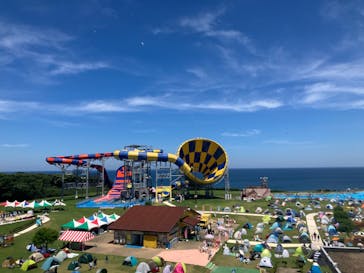 芝政ワールドに投稿された画像（2024/8/1）