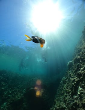 武藤潜水に投稿された画像（2024/8/1）
