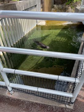 下田海中水族館に投稿された画像（2024/8/1）