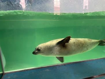 下田海中水族館に投稿された画像（2024/8/1）