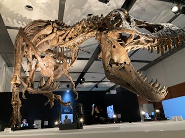 DinoScience 恐竜科学博 ～ララミディア大陸の恐竜物語～ 2024@OSAKAに投稿された画像（2024/8/1）