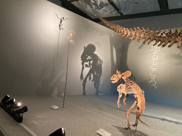 DinoScience 恐竜科学博 ～ララミディア大陸の恐竜物語～ 2024@OSAKAに投稿された画像（2024/8/1）