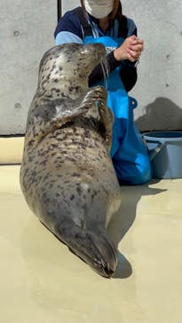 島根県立 しまね海洋館に投稿された画像（2024/8/1）