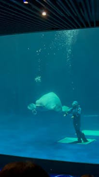 島根県立 しまね海洋館に投稿された画像（2024/8/1）