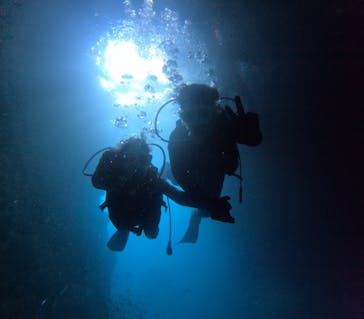 沖縄マリンサービス碧に投稿された画像（2024/8/1）