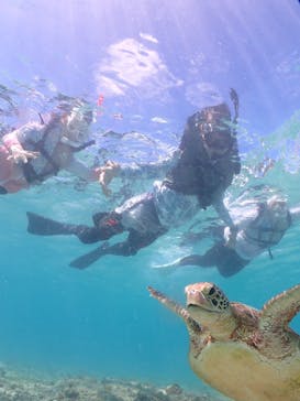 宮古島マリン GB QUESTに投稿された画像（2024/8/1）