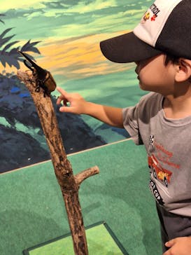 体感するファーブル昆虫展in横浜赤レンガ倉庫に投稿された画像（2024/8/1）