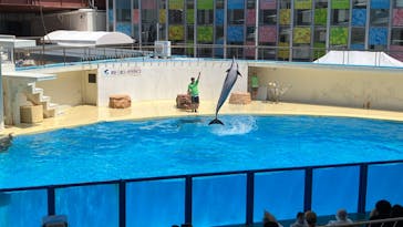 伊豆・三津シーパラダイスに投稿された画像（2024/8/1）