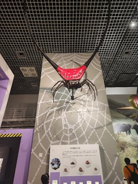 特別展「昆虫 MANIAC」（国立科学博物館）に投稿された画像（2024/8/1）