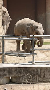 名古屋市東山動植物園に投稿された画像（2024/8/1）