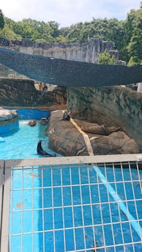 名古屋市東山動植物園に投稿された画像（2024/8/1）