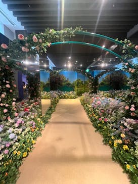 モネ＆フレンズ・アライブに投稿された画像（2024/8/1）