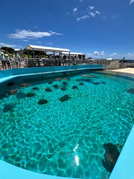 沖縄美ら海水族館に投稿された画像（2024/8/1）