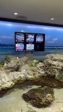 沖縄美ら海水族館に投稿された画像（2024/8/1）