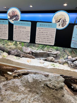 沖縄美ら海水族館に投稿された画像（2024/8/1）