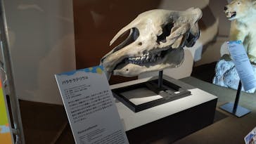 巨大恐竜展2024に投稿された画像（2024/8/1）