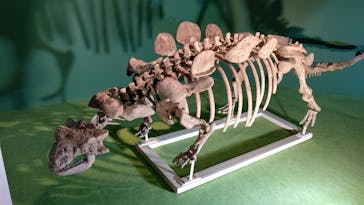 巨大恐竜展2024に投稿された画像（2024/8/1）