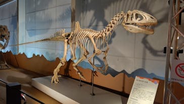 巨大恐竜展2024に投稿された画像（2024/8/1）
