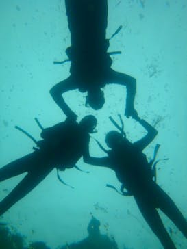 オーシャンデイズ 積丹支店に投稿された画像（2024/7/31）