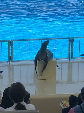 マリンワールド海の中道に投稿された画像（2024/8/1）