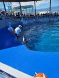 大分マリーンパレス水族館 「うみたまご」に投稿された画像（2024/8/1）