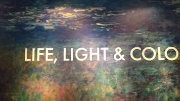 モネ＆フレンズ・アライブに投稿された画像（2024/8/1）