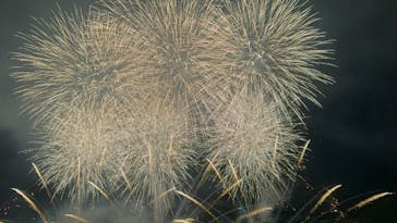 箱根海賊船に投稿された画像（2024/8/1）