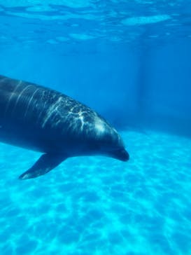 マリンワールド海の中道に投稿された画像（2024/8/1）