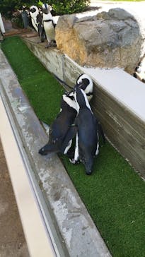 マリンワールド海の中道に投稿された画像（2024/8/1）