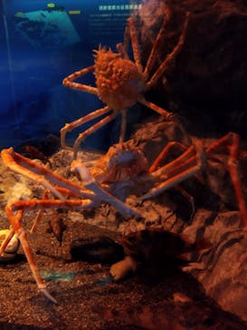 マリンワールド海の中道に投稿された画像（2024/8/1）