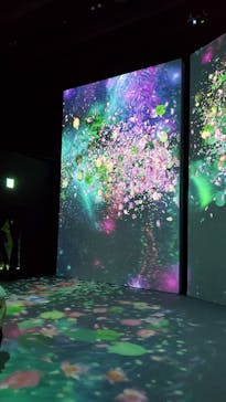 モネ＆フレンズ・アライブに投稿された画像（2024/8/1）