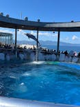 大分マリーンパレス水族館 「うみたまご」に投稿された画像（2024/8/1）