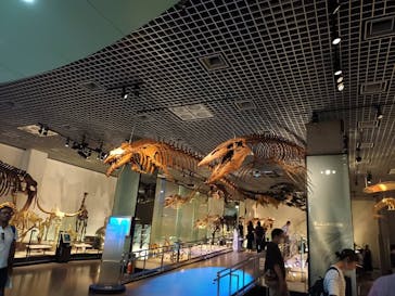 国立科学博物館に投稿された画像（2024/8/1）