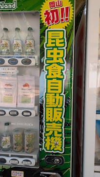 ブラジリアンパーク鷲羽山ハイランドに投稿された画像（2024/8/1）