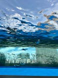 サンシャイン水族館に投稿された画像（2024/8/2）