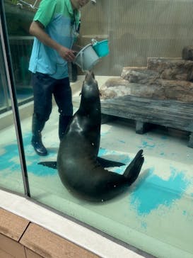 サンシャイン水族館に投稿された画像（2024/8/1）