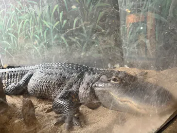 天王寺動物園に投稿された画像（2024/8/1）