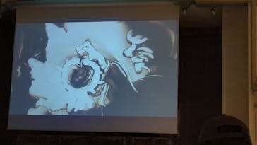 河口湖 音楽と森の美術館に投稿された画像（2024/8/1）