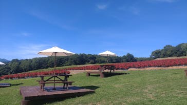 ひるがのピクニックガーデンに投稿された画像（2024/8/2）