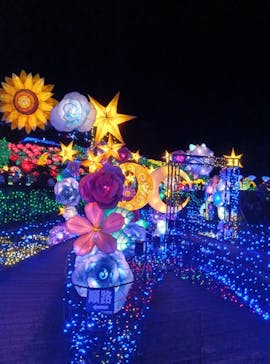 伊豆ぐらんぱる公園に投稿された画像（2024/8/2）