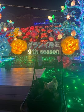 伊豆ぐらんぱる公園に投稿された画像（2024/8/2）