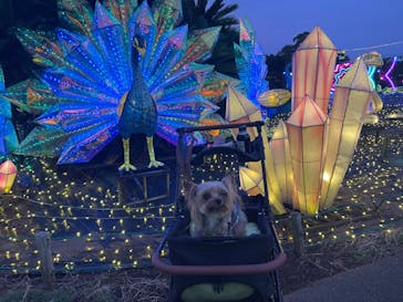 伊豆ぐらんぱる公園に投稿された画像（2024/8/2）