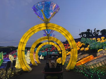 伊豆ぐらんぱる公園に投稿された画像（2024/8/2）